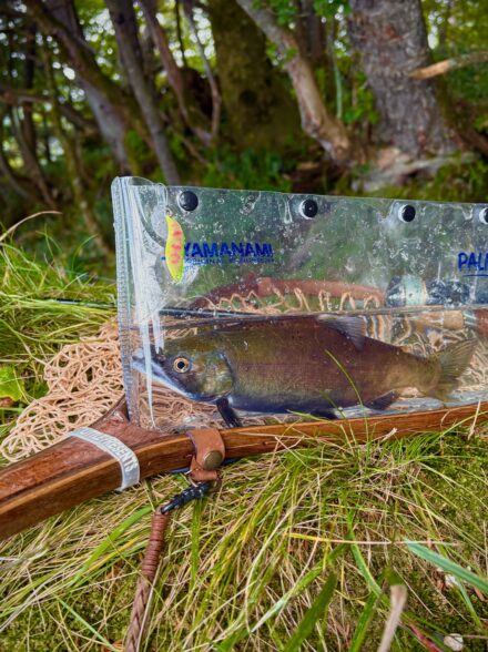 舞姫と 虹の弾丸 雨ノ魚