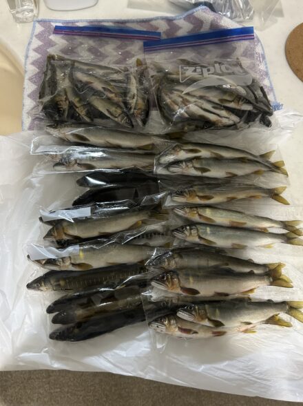 有田川　ダム下再び。