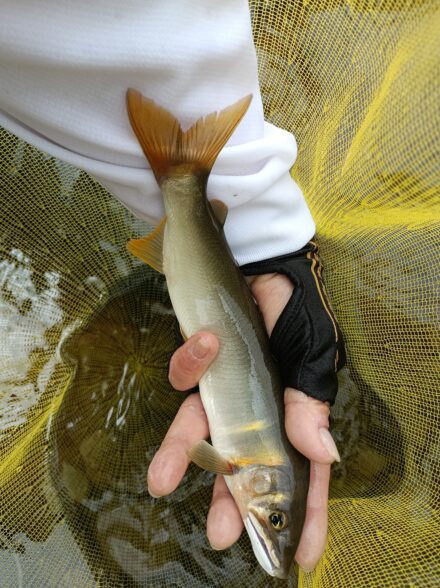 今期最後の龍神へ♪