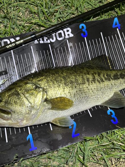 信頼と実績のグラスピース