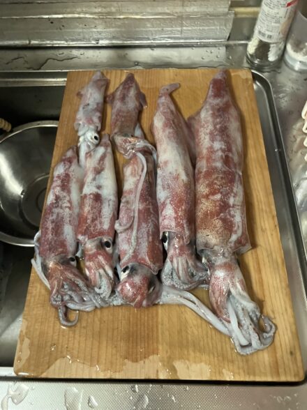 ラストイカゲーム第三弾