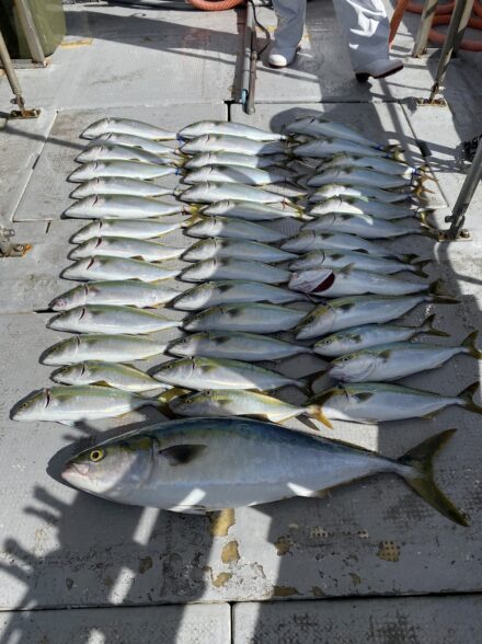 明石でオフショアジギング