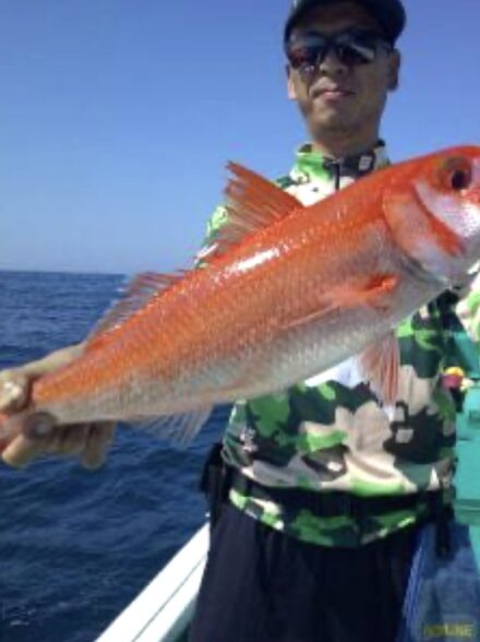 船落とし込みIN串本