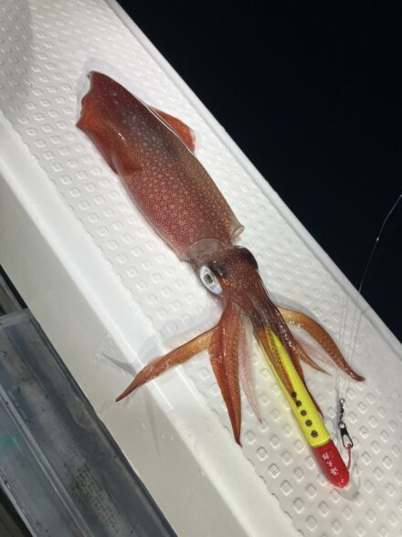 防水フィッシングトートバッグ大活躍‼️