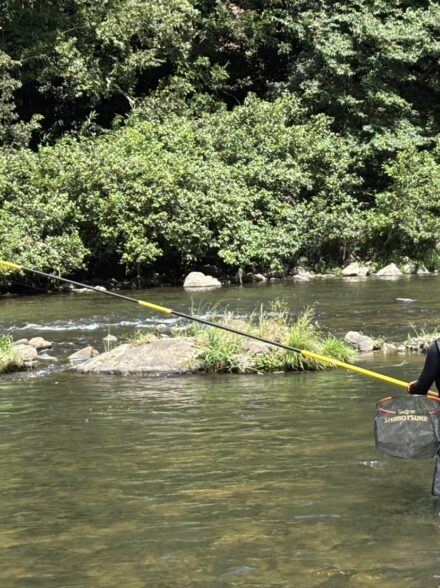 鮎釣り終盤戦