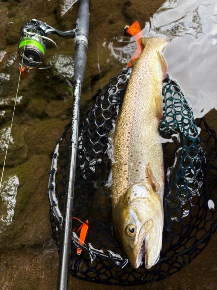 芦ノ湖の”紅”狙い