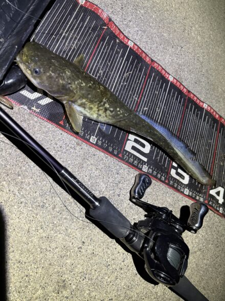 お久しぶりの1本！