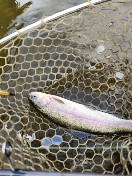 ジョイバレーさん初挑戦！