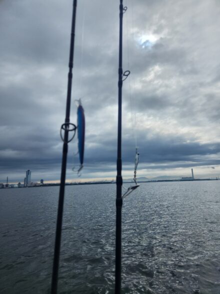 大阪湾サワラキャスティング