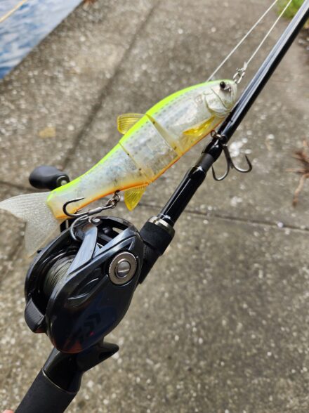 東京湾で初挑戦！ビックベイトシーバス！