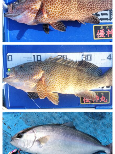 沼津湾ボートロックゲーム・今季7戦目(10/8)