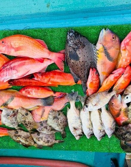 和歌山中紀一つテンヤ