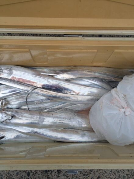 タチウオテンヤに初挑戦！！Day1