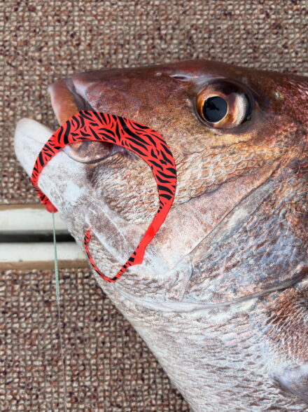 ディープタイラバ開幕戦