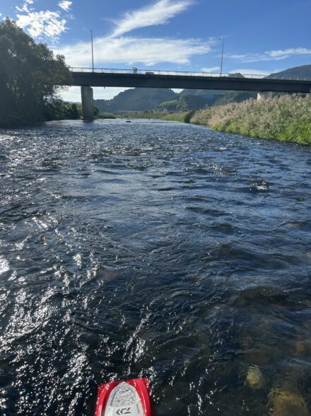 有田川納竿釣行