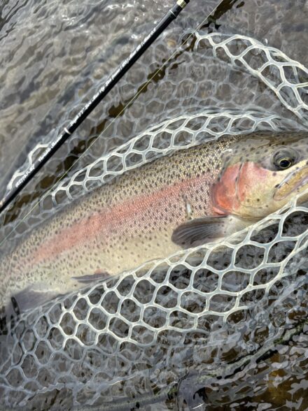 秋の本流開幕・利根川本流を走り舞う、赤い彗星