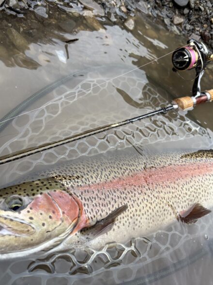秋の渓流開幕・神流川の巨魚を狂わすハコスピ＆GJ