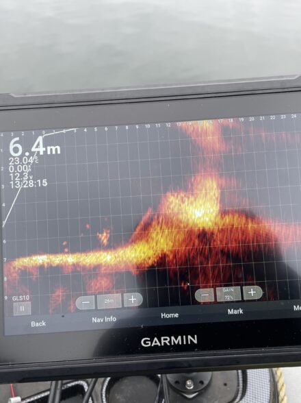 U30ドリームトーナメントに挑戦！Day1