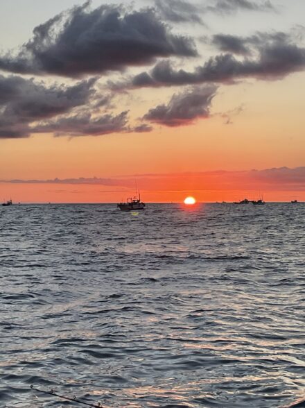 串本キハダフカセに挑戦