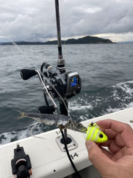 シマノタチウオテンヤ実釣会に参加してきました