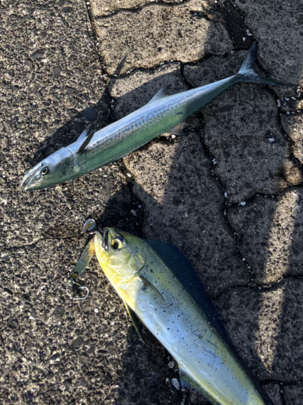 小嶋釣行便 ショアジギング・エギング