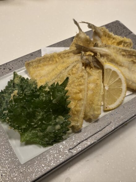 淡路島キス釣り旅