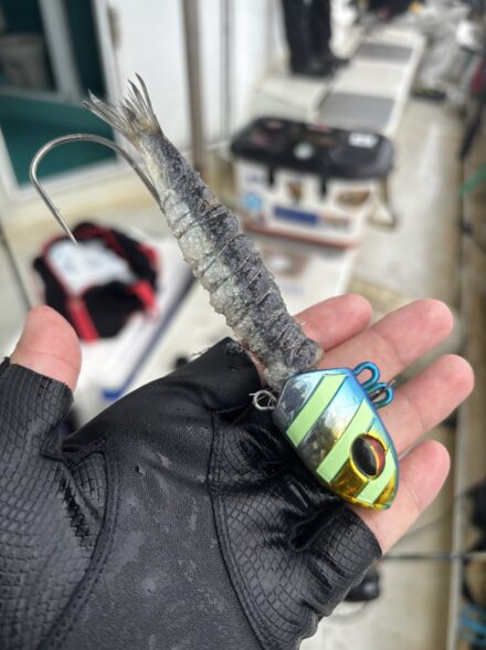 TTP テンヤタチウオパーティーIN加太