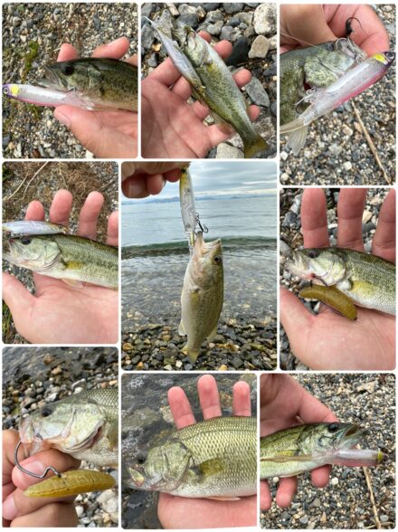 秋の無限バイト編in湖西