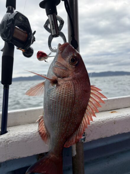 明石でひとつテンヤ