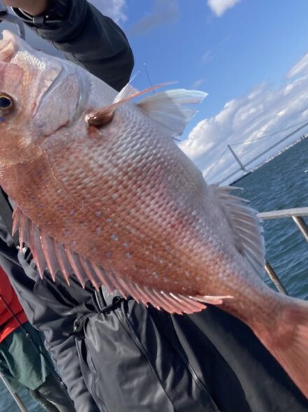 明石鯛ラバ10月28日