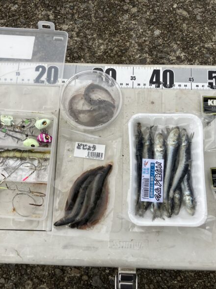 タチウオライトテンヤ