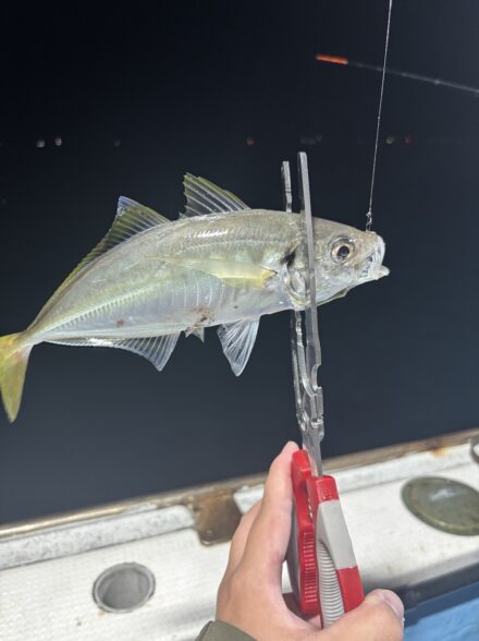 初挑戦ライトタチウオテンヤ