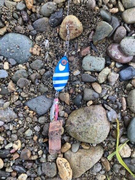 北海道!陸からサケ釣り!