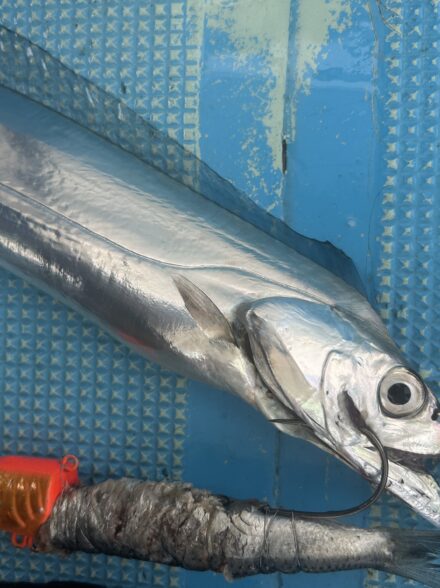 タチウオテンヤ　ドラゴン狙い