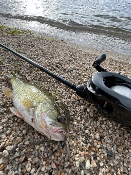 湖西のコバスフィッシング