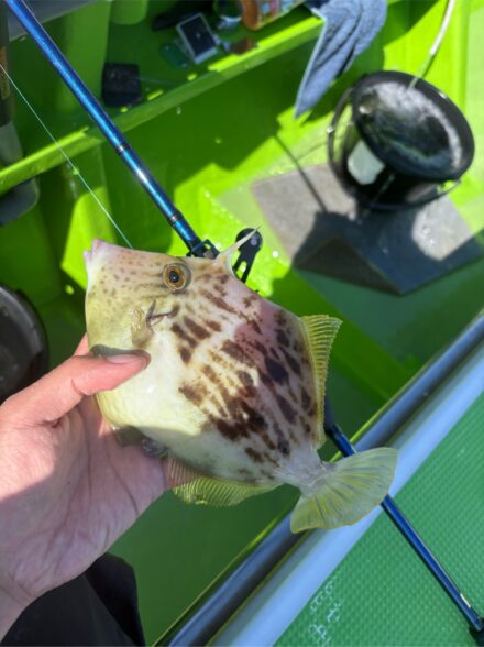 弁天屋 カワハギ船