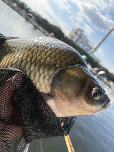 椎の木湖でメーターセット練習！