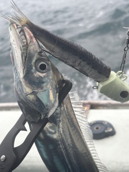 洲本沖のタチウオテンヤ