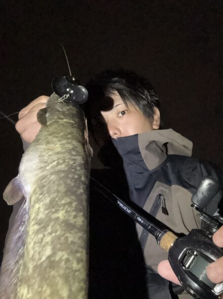 やわらかでんぐり入魂!