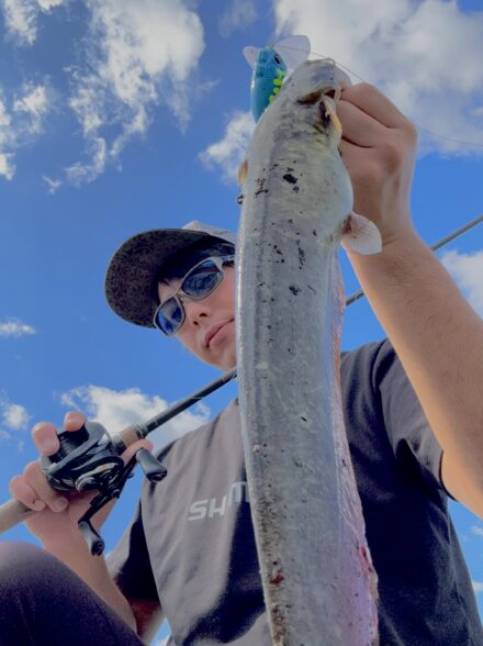 秋ナマズ終盤のデイナマ!