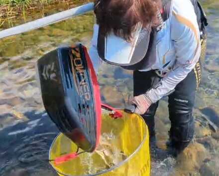 今期最後の鮎釣り