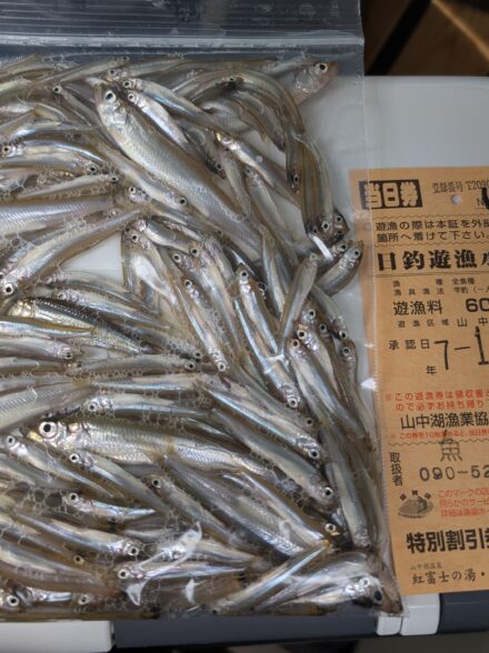 山中湖のワカサギ釣り2025