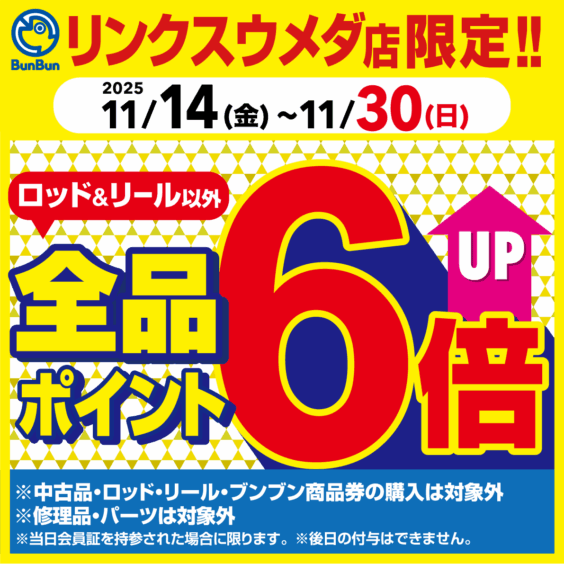 【リンクスウメダ店限定！】全品ポイント6倍！