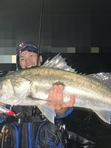 コノシロパターン大爆発中!