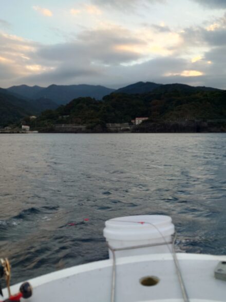 西伊豆エリアのコマセマダイ釣行