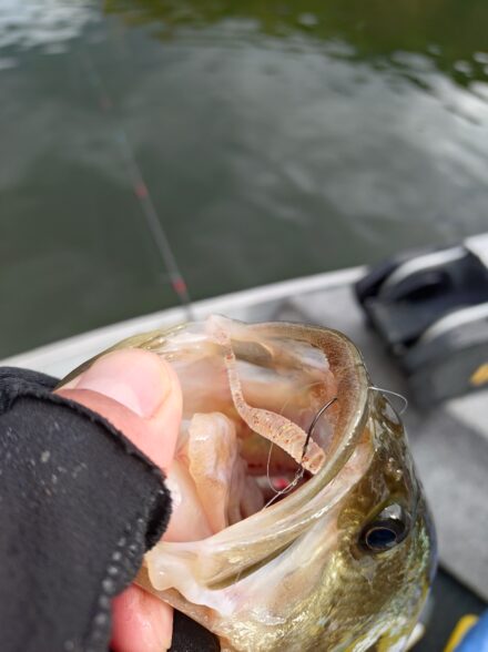 11月中旬の奈良県布目ダム
