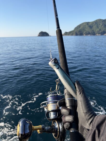 三重のロックショア調査