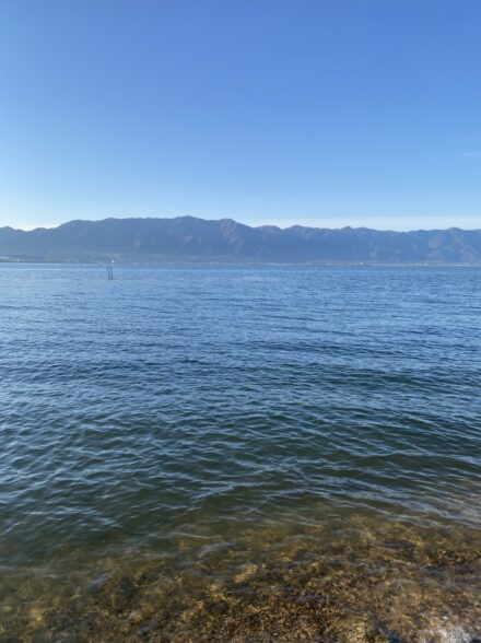 北湖ハードベイト調査!