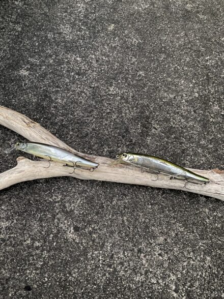 北湖西岸探索 〜仮眠速攻2時間縛り〜