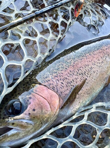 日光晩秋鬼鱒退治